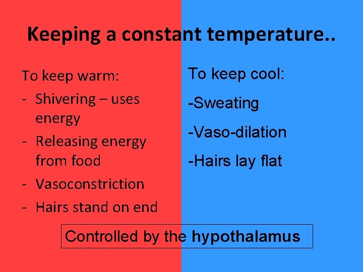 Keeping a constant temperature. . To keep warm: - Shivering – uses energy -