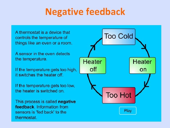 Negative feedback 