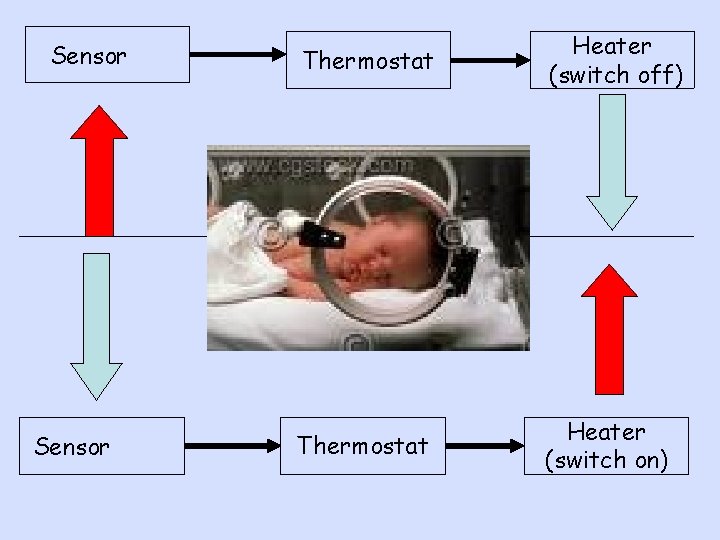 Sensor Thermostat Heater (switch off) Thermostat Heater (switch on) 