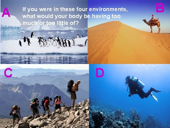 A C If you were in these four environments, what would your body be