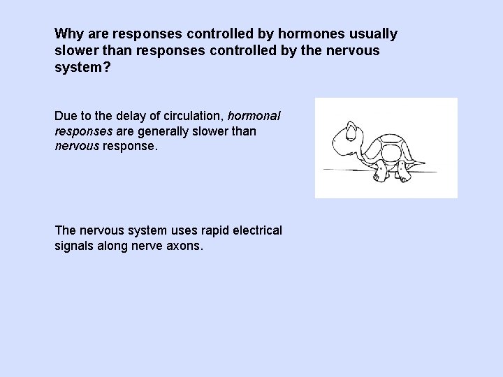 Why are responses controlled by hormones usually slower than responses controlled by the nervous