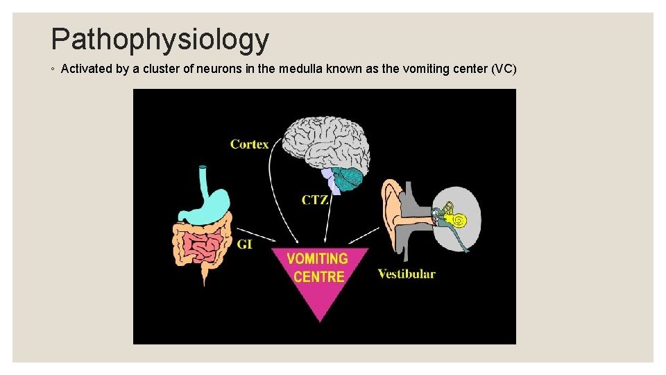 Pathophysiology ◦ Activated by a cluster of neurons in the medulla known as the