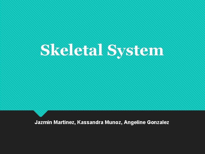 Skeletal System Jazmin Martinez, Kassandra Munoz, Angeline Gonzalez 
