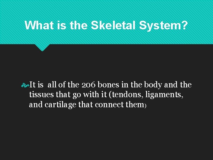 What is the Skeletal System? It is all of the 206 bones in the