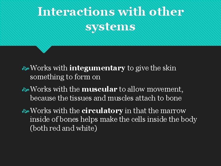 Interactions with other systems Works with integumentary to give the skin something to form