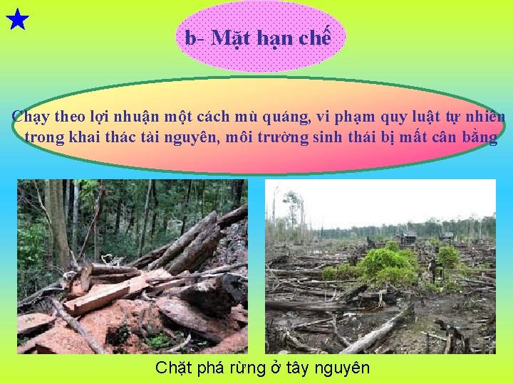  b- Mặt hạn chế Chạy theo lợi nhuận một cách mù quáng, vi