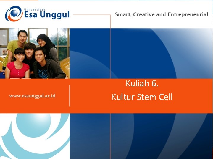 Kuliah 6. Kultur Stem Cell Kuliah 6. Kultur Stem Cell