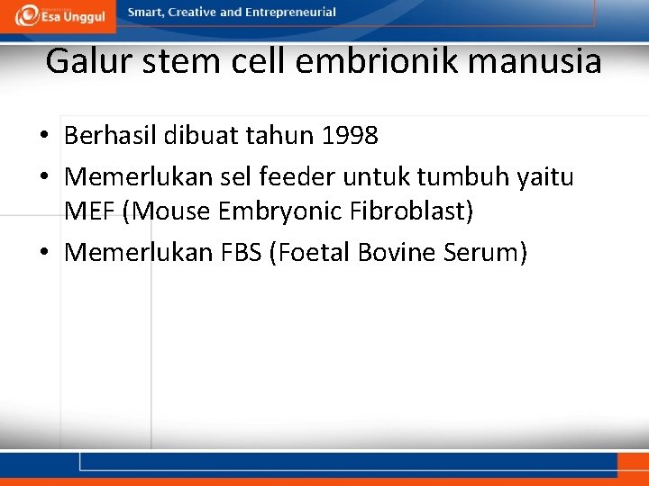 Galur stem cell embrionik manusia • Berhasil dibuat tahun 1998 • Memerlukan sel feeder