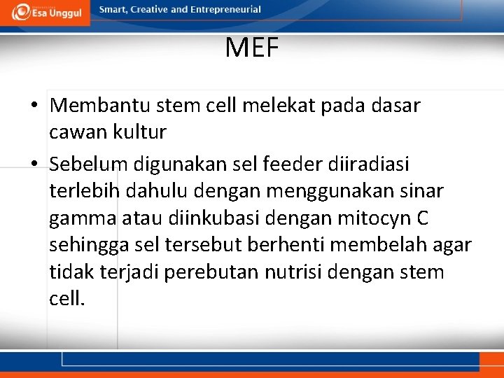 MEF • Membantu stem cell melekat pada dasar cawan kultur • Sebelum digunakan sel