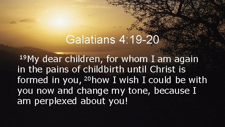 Galatians 4: 19 -20 19 My dear children, for whom I am again in