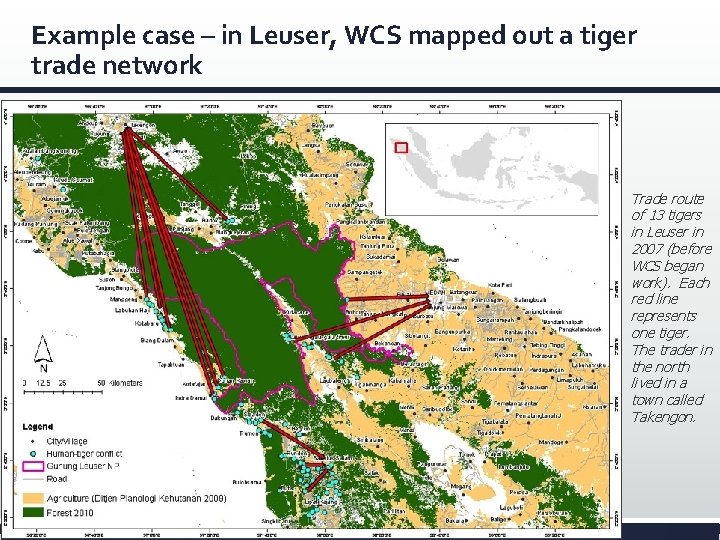 Example case – in Leuser, WCS mapped out a tiger trade network Trade route
