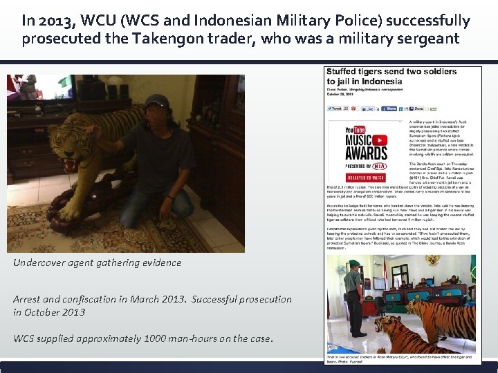 In 2013, WCU (WCS and Indonesian Military Police) successfully prosecuted the Takengon trader, who