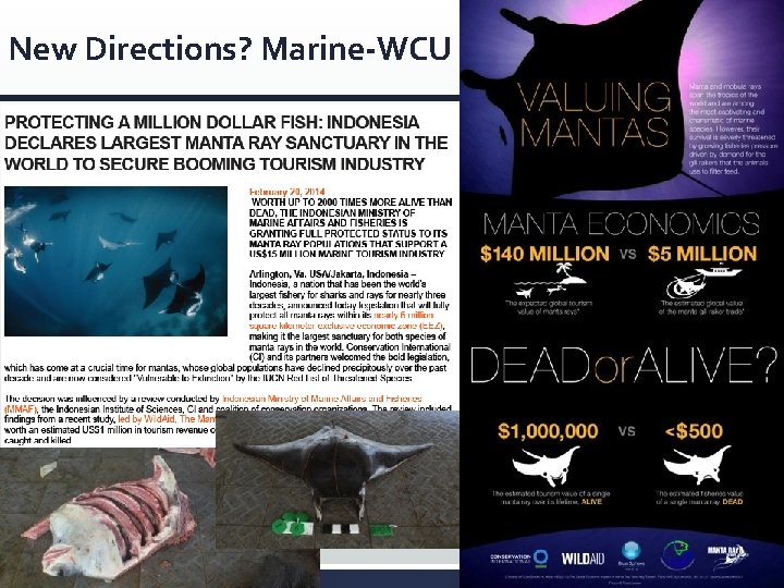 New Directions? Marine-WCU 