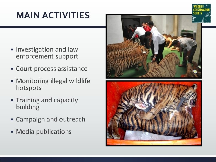 MAIN ACTIVITIES § Investigation and law enforcement support § Court process assistance § Monitoring