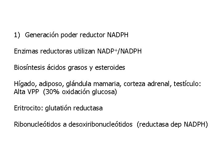 1) Generación poder reductor NADPH Enzimas reductoras utilizan NADP+/NADPH Biosíntesis ácidos grasos y esteroides