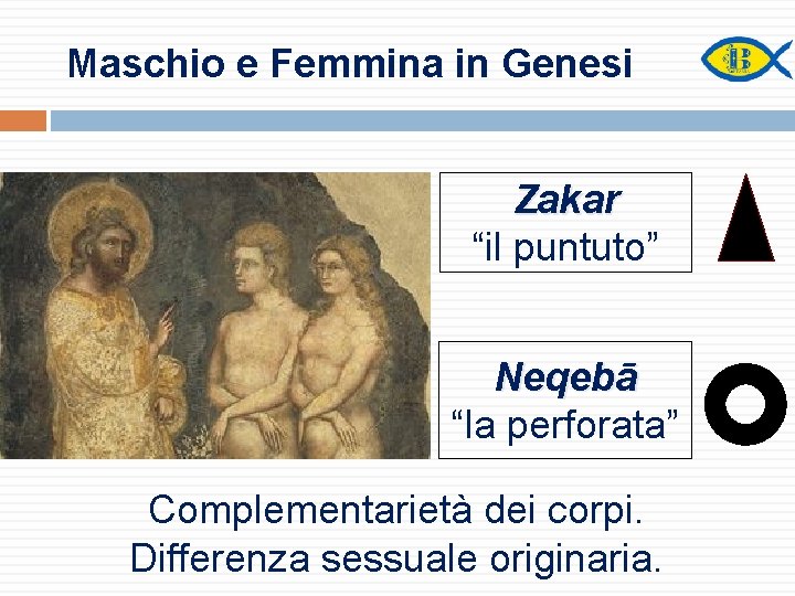 Maschio e Femmina in Genesi Zakar “il puntuto” Neqebā “la perforata” Complementarietà dei corpi.
