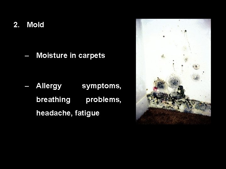 00: 30 Percent Complete 100% 2. Mold i. Respond Question Master – Moisture in