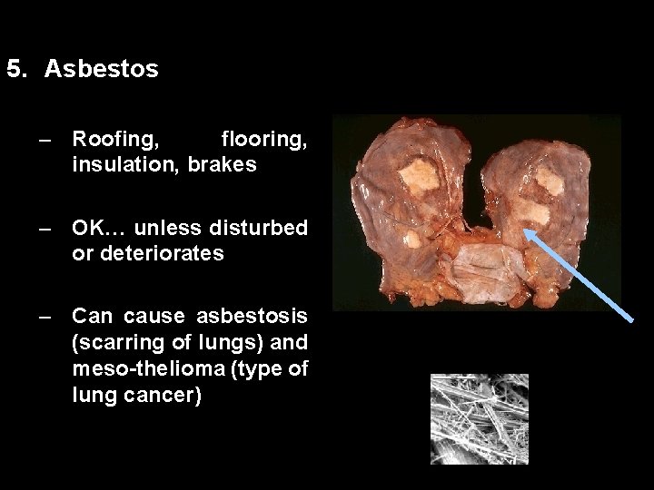 00: 30 Percent Complete 100% 5. Asbestos – i. Respond Question Master Roofing, flooring,