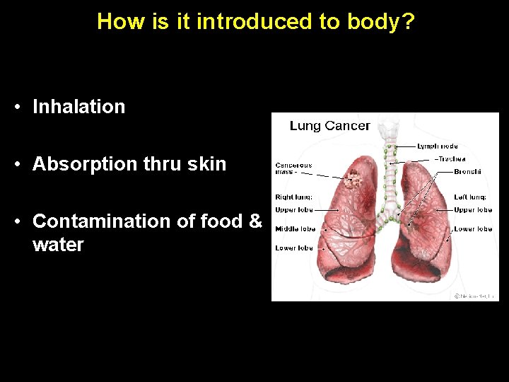 How is it introduced to body? Percent Complete 100% 00: 30 • i. Respond