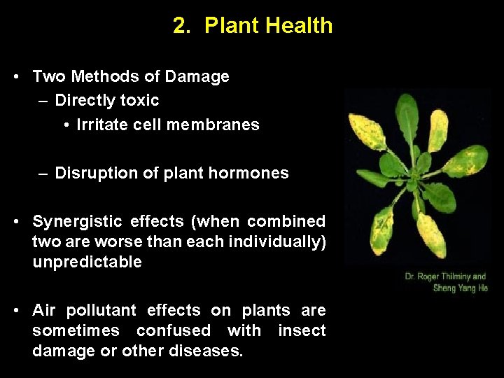 00: 30 2. Plant Health • Two Methods of Damage – Directly toxic •