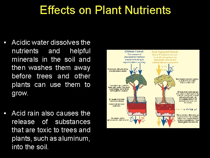 Effects on Plant Nutrients 00: 30 • Percent Complete 100% i. Respond Question Master