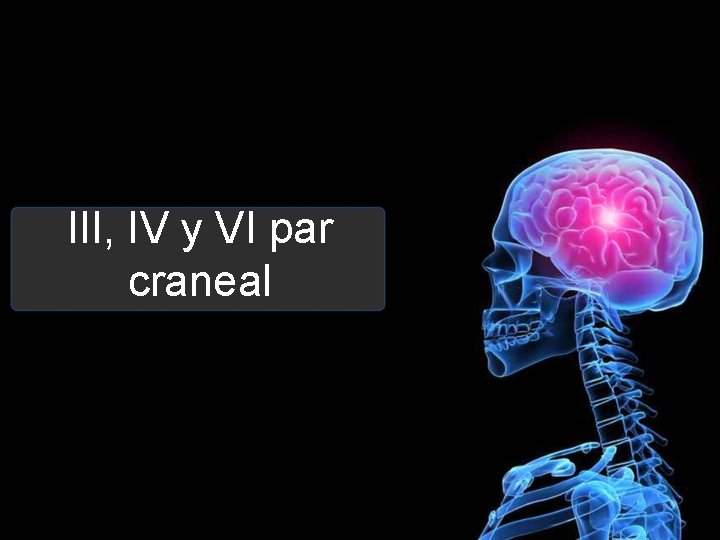 III, IV y VI par craneal 