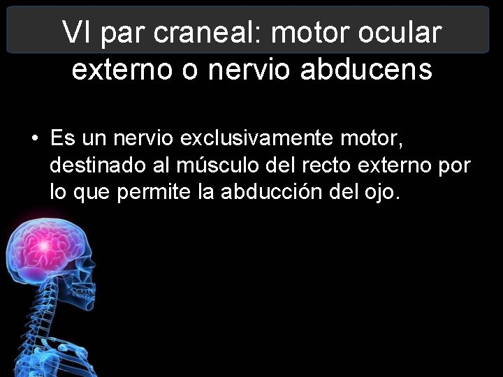 VI par craneal: motor ocular externo o nervio abducens • Es un nervio exclusivamente