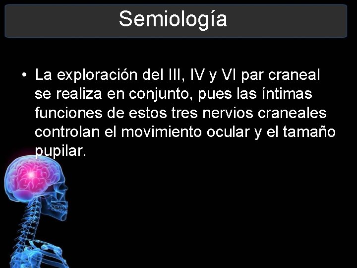 Semiología • La exploración del III, IV y VI par craneal se realiza en