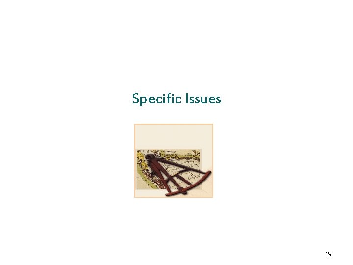 Specific Issues 19 