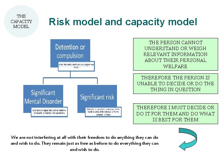 THE CAPACITY MODEL Risk model and capacity model THE PERSON CANNOT UNDERSTAND OR WEIGH