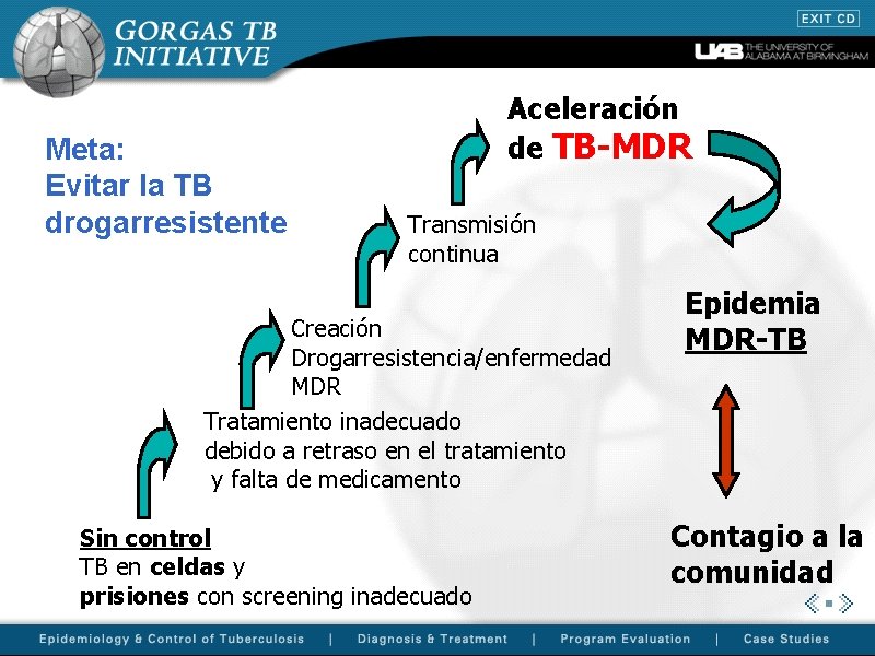 Meta: Evitar la TB drogarresistente Aceleración de TB-MDR Transmisión continua Creación Drogarresistencia/enfermedad MDR Tratamiento