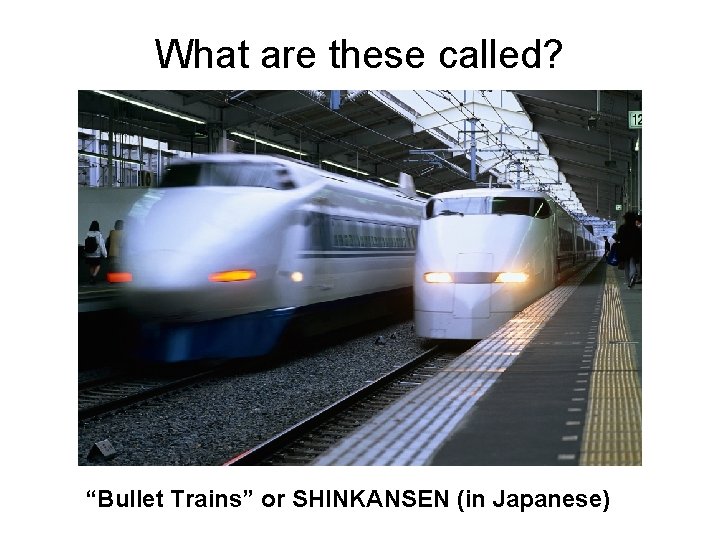What are these called? “Bullet Trains” or SHINKANSEN (in Japanese) 