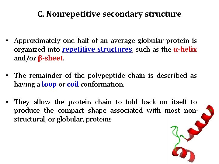 C. Nonrepetitive secondary structure • Approximately one half of an average globular protein is
