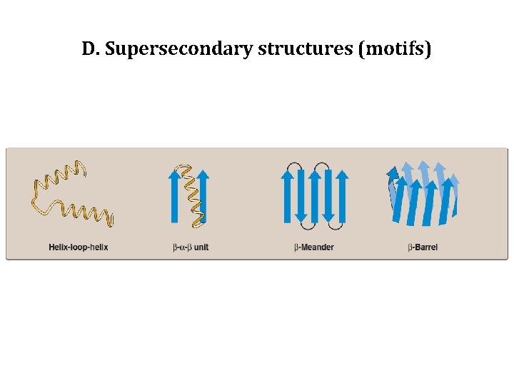 D. Supersecondary structures (motifs) 