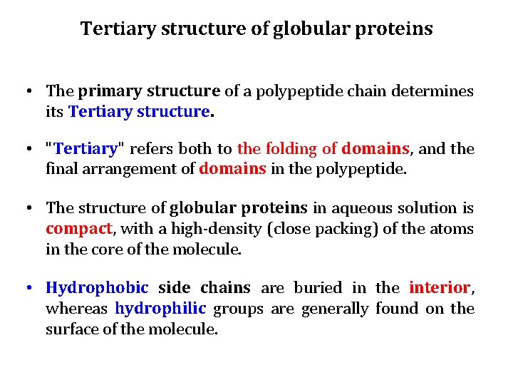 Tertiary structure of globular proteins • The primary structure of a polypeptide chain determines