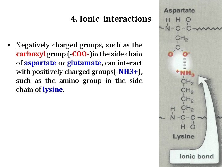 4. Ionic interactions • Negatively charged groups, such as the carboxyl group (-COO-)in the