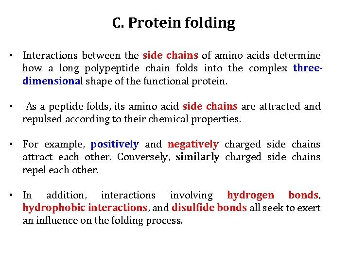 C. Protein folding • Interactions between the side chains of amino acids determine how