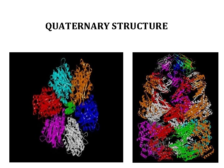 QUATERNARY STRUCTURE 