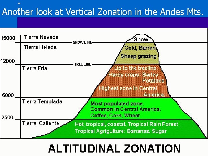 Another look at Vertical Zonation in the Andes Mts. 