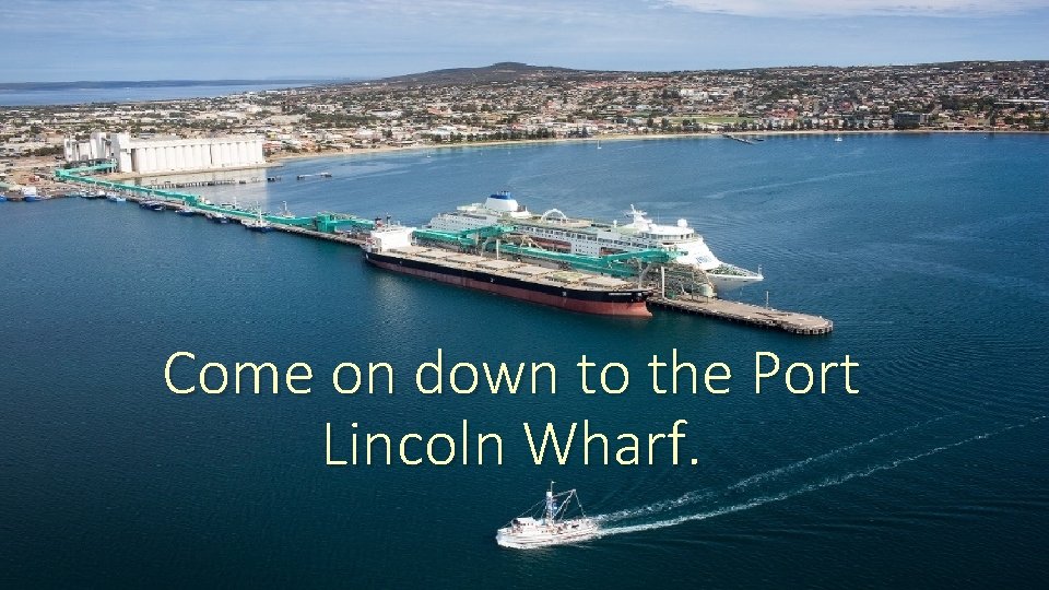 Come on down to the Port Lincoln Wharf. 