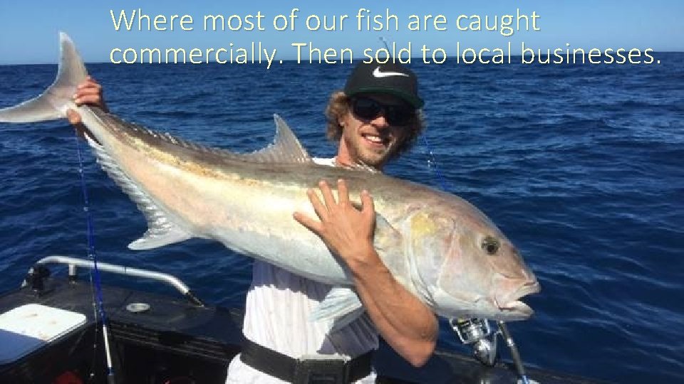 Where most of our fish are caught commercially. Then sold to local businesses. 