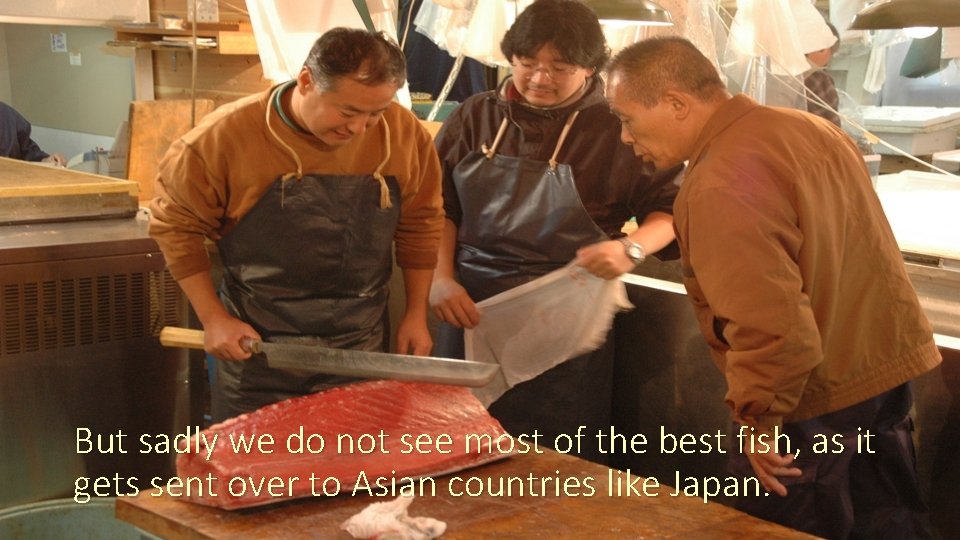 But sadly we do not see most of the best fish, as it gets
