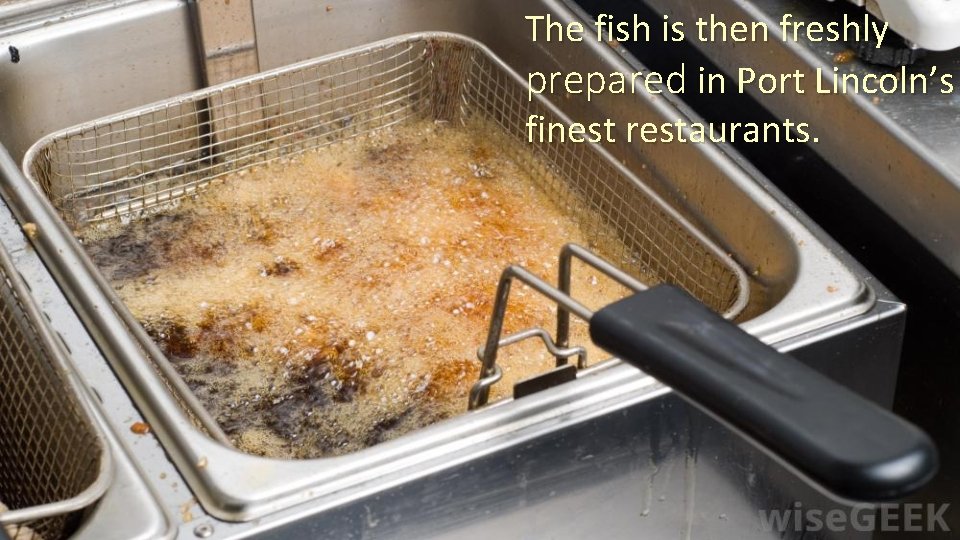 The fish is then freshly prepared in Port Lincoln’s finest restaurants. 