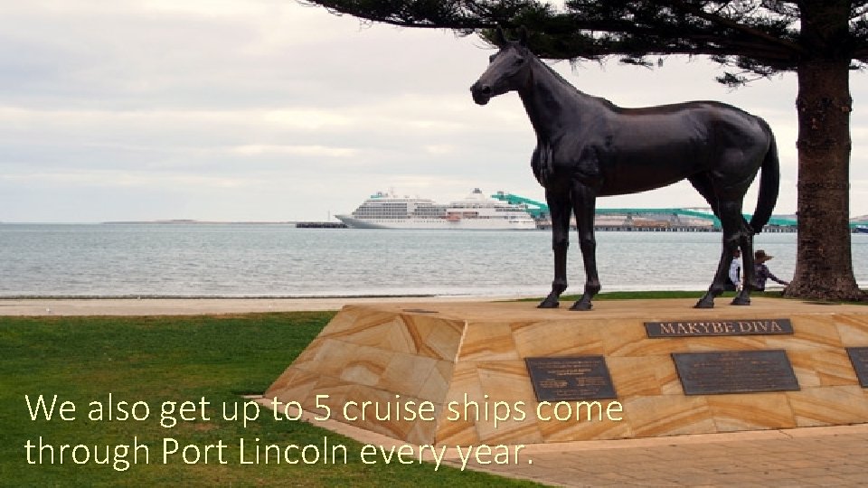 We also get up to 5 cruise ships come through Port Lincoln every year.
