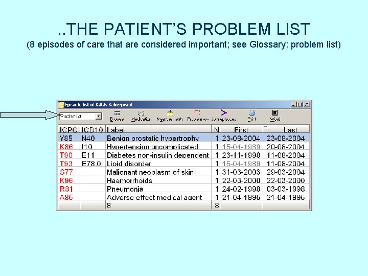 . . THE PATIENT’S PROBLEM LIST (8 episodes of care that are considered important; . . THE PATIENT’S PROBLEM LIST (8 episodes of care that are considered important;
