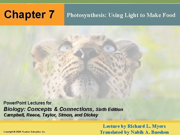 Chapter 7 Photosynthesis: Using Light to Make Food Power. Point Lectures for Biology: Concepts