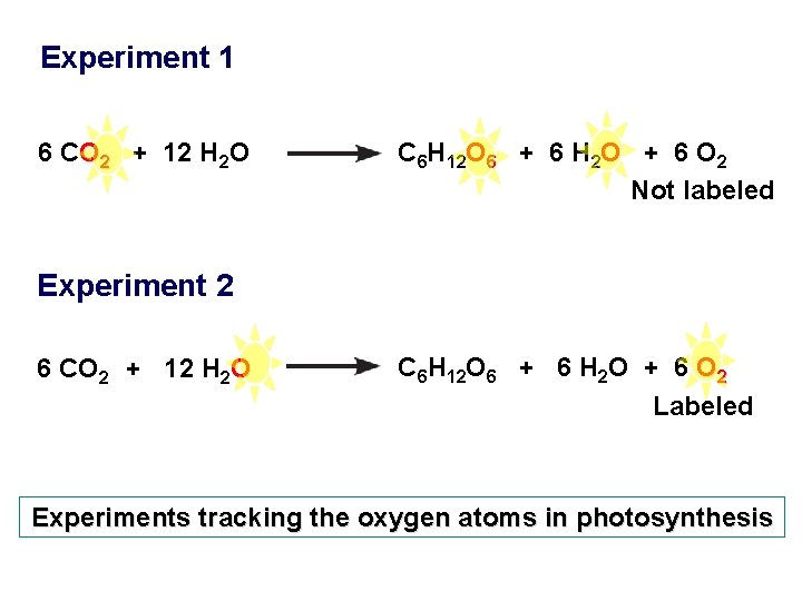Experiment 1 6 CO 2 + 12 H 2 O C 6 H 12
