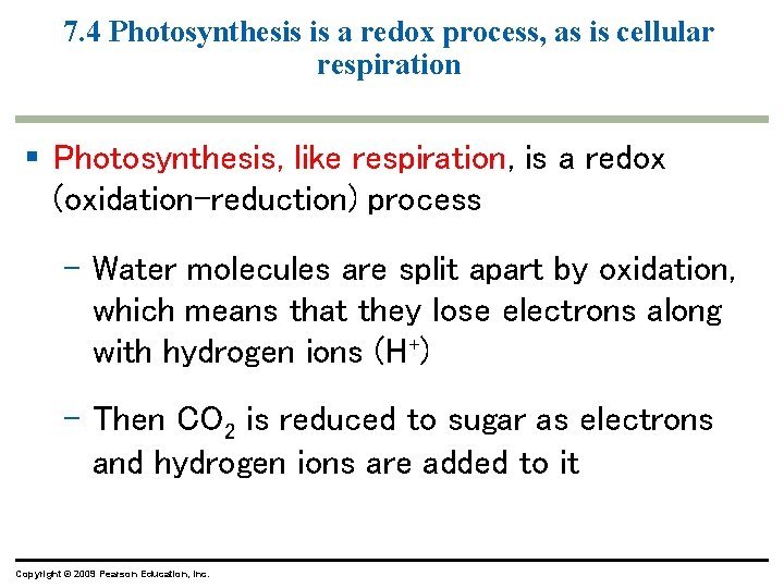 7. 4 Photosynthesis is a redox process, as is cellular respiration § Photosynthesis, like