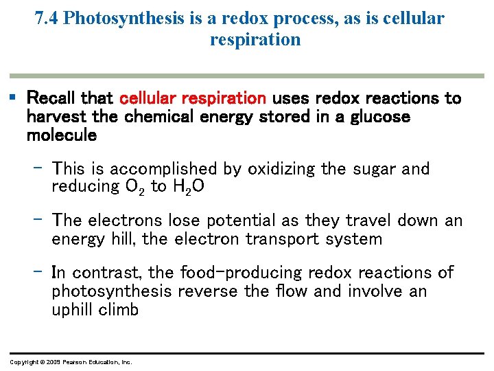 7. 4 Photosynthesis is a redox process, as is cellular respiration § Recall that