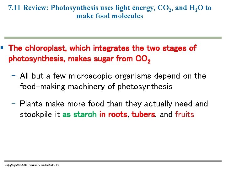 7. 11 Review: Photosynthesis uses light energy, CO 2, and H 2 O to